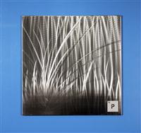 Phosphorus P